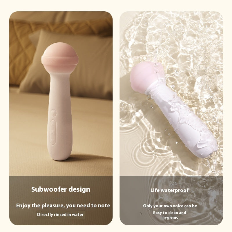 Sweet Spot AV Vibrator